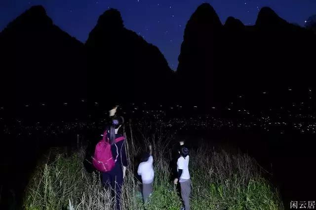 秘境对决