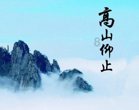 犀牛森林大逃生